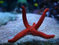 4 Rencontre chez Didou