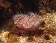 7 Aquarium 