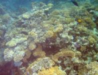 Sharm el Sheikh
