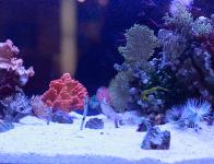 8 Interzoo