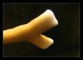 IMG 6282