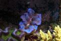 IMG 7756
