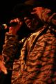 Robert Roccobelly 073