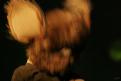 Puppetmastaz 5