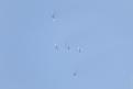 Patrouille Suisse 092
