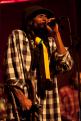 Israel Vibration
