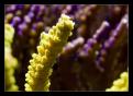 IMG 6328