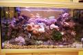 Interzoo 139