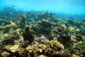 IMG 4013b