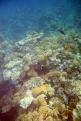 IMG 3110b