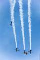 Sion AirShow 569