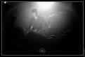 Black Rebel Motorcycle Club
