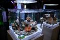 Interzoo 108
