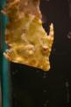 IMG 4978