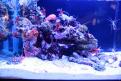 Interzoo 042