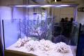 Interzoo 076