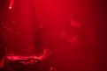 IMG 0283