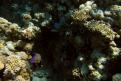 IMG 4032b