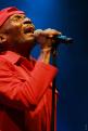 Jimmy Cliff (9)