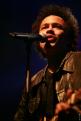 Eagle Eye Cherry 193
