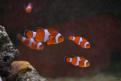 IMG 4884