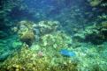 IMG 3081b