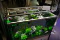 Interzoo 118