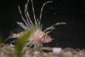 IMG 4861