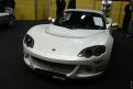 Lotus (3)