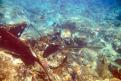 IMG 3023b