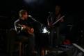 Fauve 6