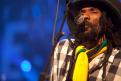 Israel Vibration