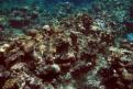 IMG 3477b