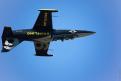 Sion AirShow 548