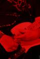 Borbetomagus 0519