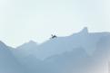 Sion AirShow 775