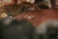 IMG 7675