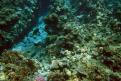 IMG 3430b