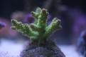 IMG 7707