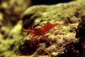 IMG 9191