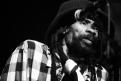 Israel Vibration