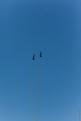 Sion AirShow 849