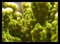 IMG 6306