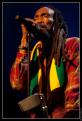 Israel Vibration