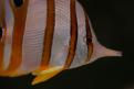IMG 4849