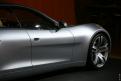 Fisker (11)