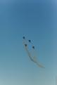 Sion AirShow 867