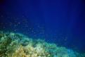 IMG 4209b