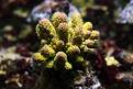 IMG 7757