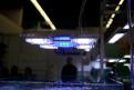 Interzoo 075
